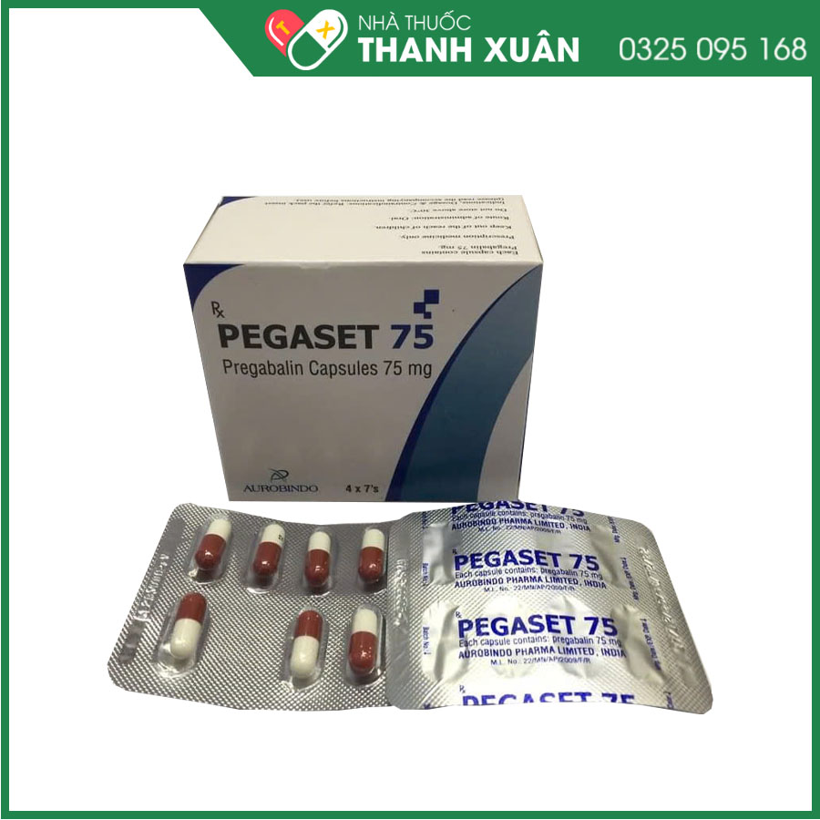 Thuốc Pegaset 75 điều trị đau thần kinh ở người lớn, động kinh cục bộ hoặc rối loạn lo âu ở người lớn